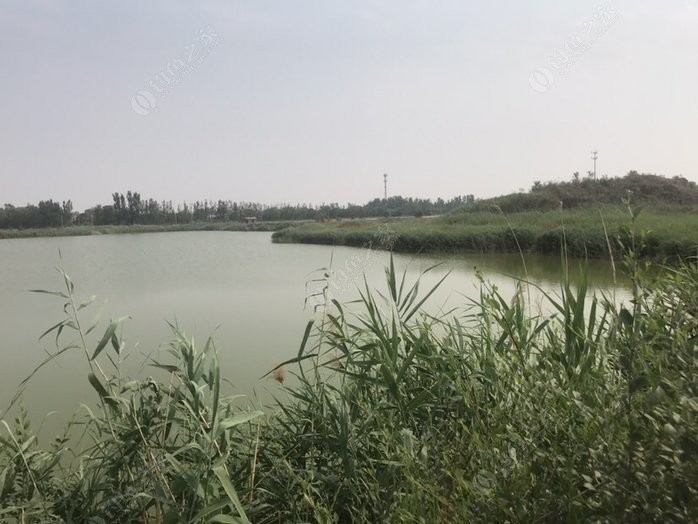 河水怎么样？跟着老张唠唠这条河的今昔与冷暖