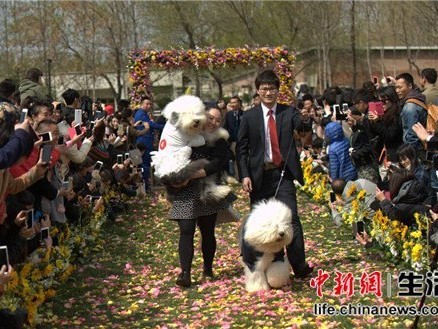 2026澳大利亚杯首轮：布林狮子点胜艾文多尔山庄